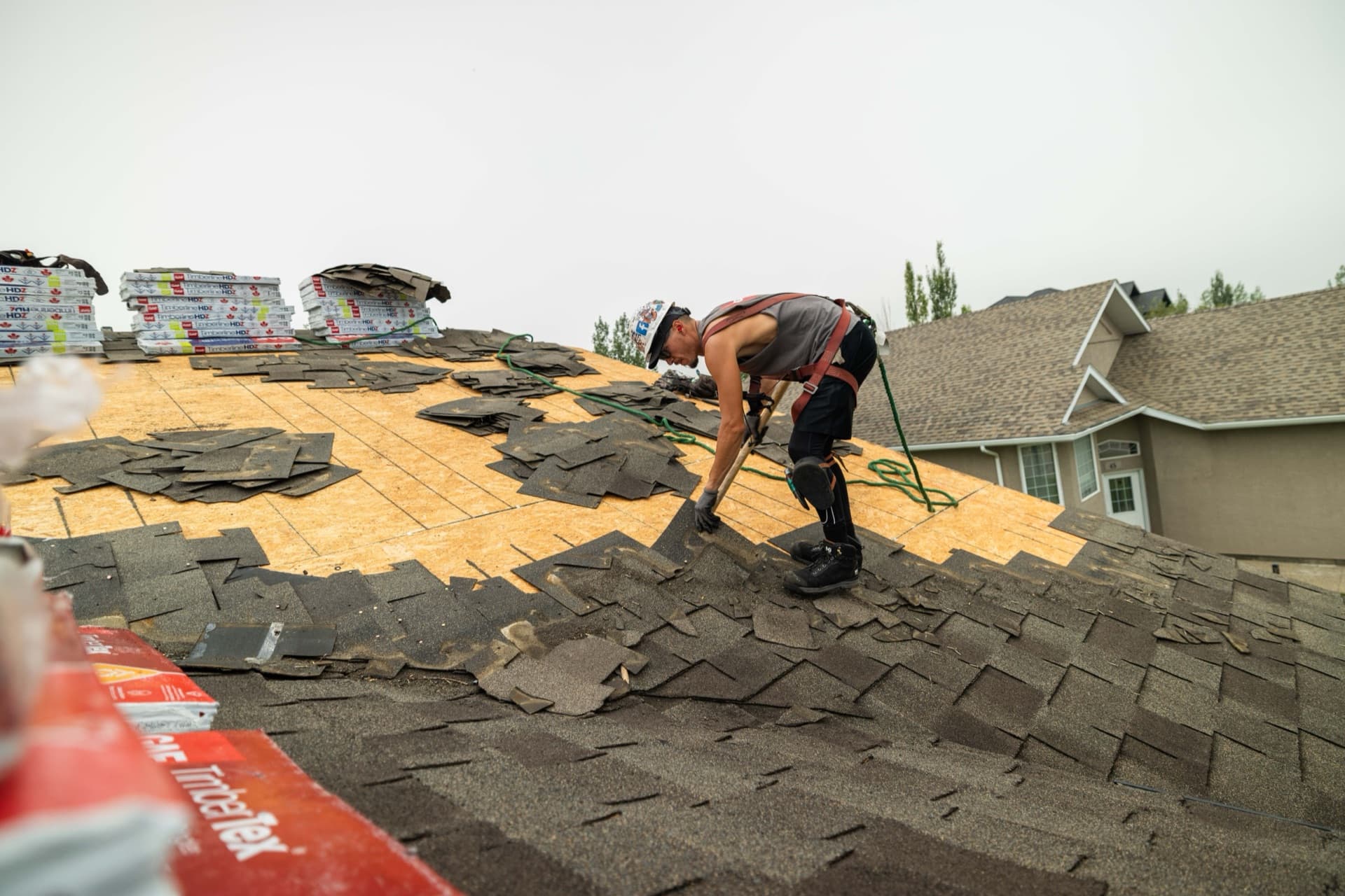 Shingle roofing project 11